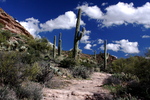 photo thumbnail #1