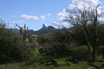 photo thumbnail #4