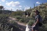 photo thumbnail #13