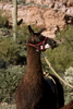 photo thumbnail #14