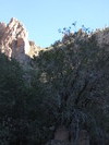 photo thumbnail #11