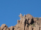 photo thumbnail #13