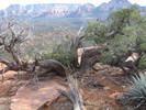 photo thumbnail #6