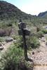 photo thumbnail #9