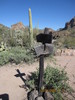 photo thumbnail #10
