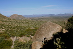 photo thumbnail #3