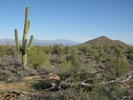 photo thumbnail #2