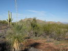 photo thumbnail #3