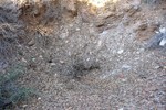 photo thumbnail #1