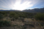 photo thumbnail #4