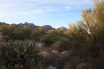 photo thumbnail #5