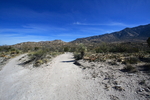photo thumbnail #11