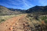 photo thumbnail #13