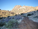 photo thumbnail #8