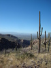 photo thumbnail #3