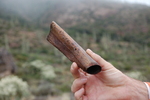 photo thumbnail #2