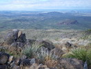 photo thumbnail #11