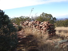 photo thumbnail #1