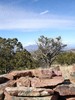 photo thumbnail #9