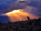 photo thumbnail #14