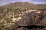 photo thumbnail #5