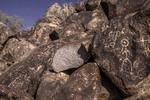 photo thumbnail #14