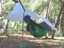 photo thumbnail #6