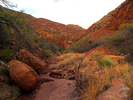 photo thumbnail #4
