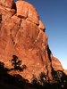 photo thumbnail #10