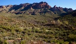 photo thumbnail #8