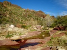 photo thumbnail #12