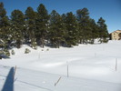 photo thumbnail #14