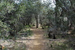 photo thumbnail #3