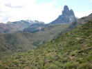 photo thumbnail #11