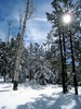 photo thumbnail #8