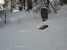 photo thumbnail #1