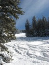 photo thumbnail #3