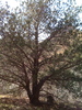 recent photo