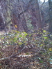 photo thumbnail #13