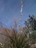 photo thumbnail #15