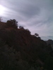 recent photo
