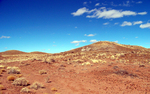 photo thumbnail #10