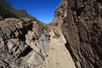 photo thumbnail #5