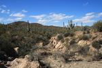 photo thumbnail #6