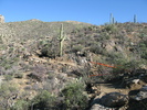photo thumbnail #1