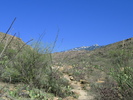photo thumbnail #2