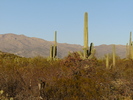 photo thumbnail #5