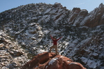 photo thumbnail #10