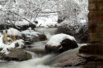 photo thumbnail #2