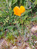 photo thumbnail #14